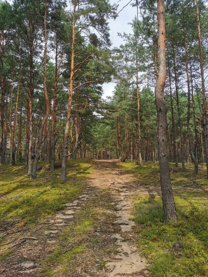 Lesniczowka