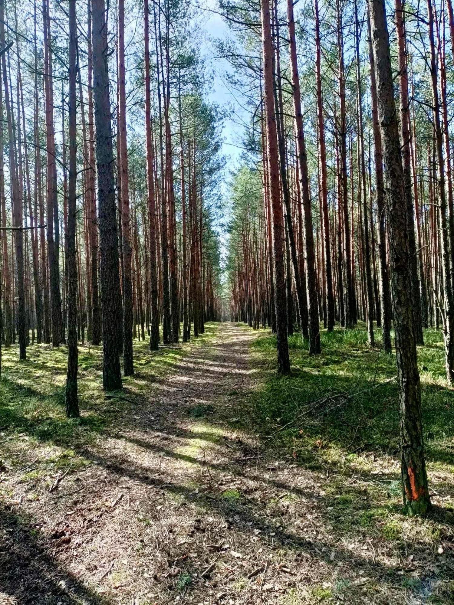 Lesniczowka Holiday home